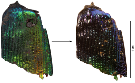 Texte alternatif de l'image