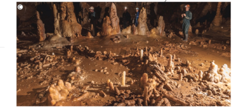 Texte alternatif de l'image