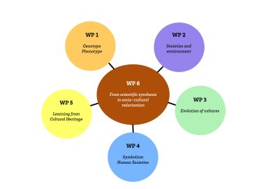 Texte alternatif de l'image